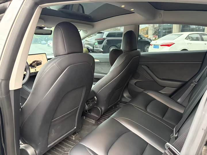 Tesla Model 3 2023 2023款 后轮驱动版