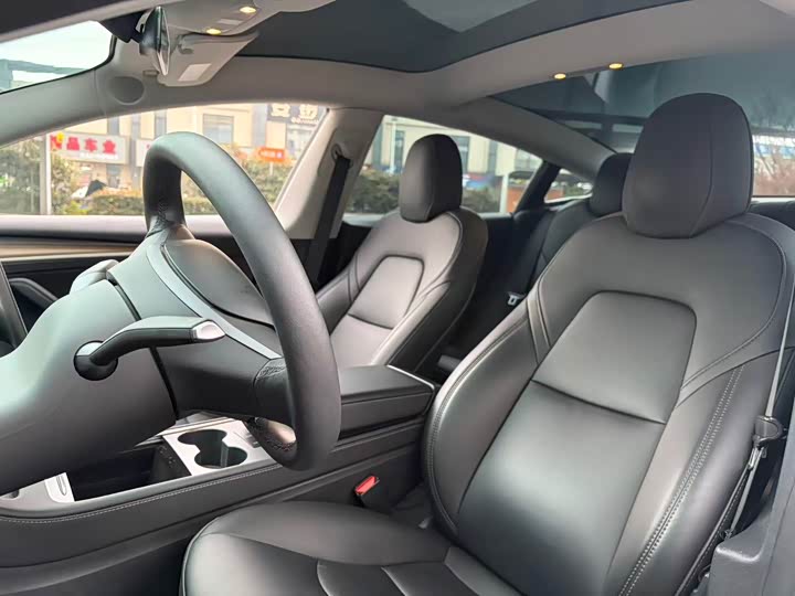 Tesla Model 3 2023 2023款 后轮驱动版