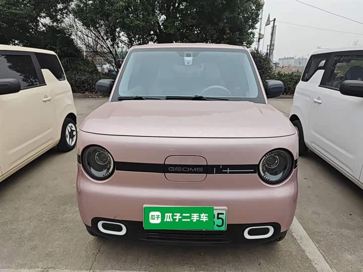 Geely Galaxy Panda Mini 2025 2025款 熊猫mini 210km 元气熊