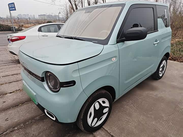 Geely Galaxy Panda Mini 2025 2025款 熊猫mini 210km 元气熊