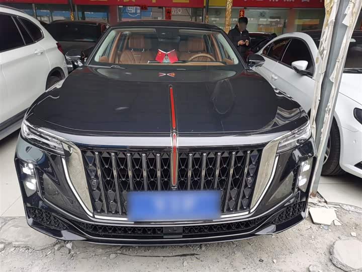 Hongqi H9 2024 2024款 2.0T 旗享 私享风尚版