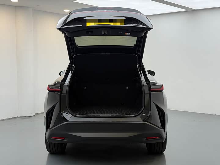 Lexus RZ 2023 2023款 450e 四驱纵享版