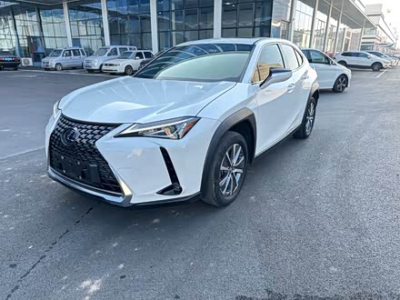 Lexus UX Hybrid 2020 2020款 300e 纯·悦版