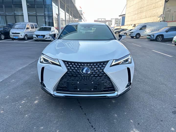 Lexus UX Hybrid 2020 2020款 300e 纯·悦版