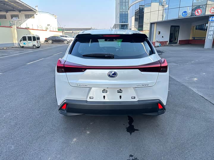 Lexus UX Hybrid 2020 2020款 300e 纯·悦版