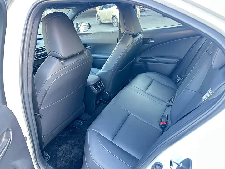 Lexus UX Hybrid 2020 2020款 300e 纯·悦版