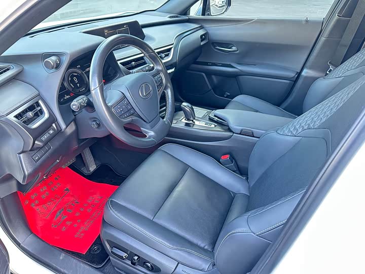 Lexus UX Hybrid 2020 2020款 300e 纯·悦版