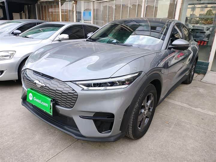 Ford Mustang Mach-E 2021 2021款 跃世后驱版(标准续航)