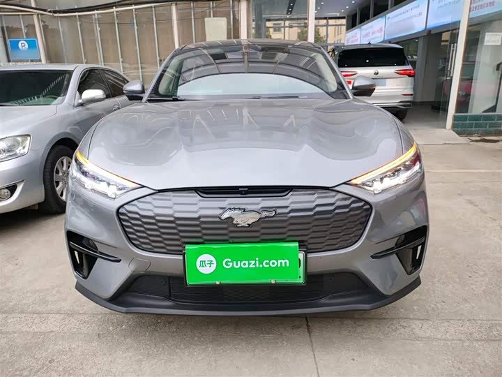 Ford Mustang Mach-E 2021 2021款 跃世后驱版(标准续航)