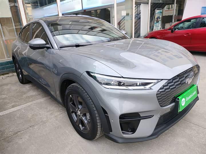 Ford Mustang Mach-E 2021 2021款 跃世后驱版(标准续航)