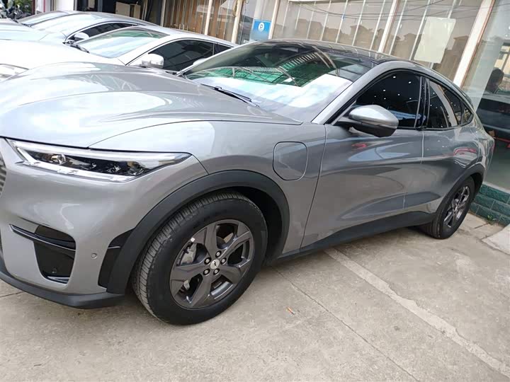 Ford Mustang Mach-E 2021 2021款 跃世后驱版(标准续航)