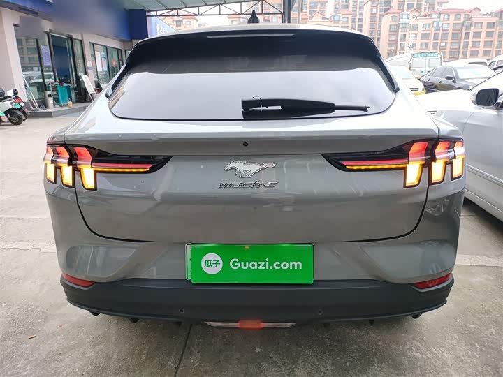 Ford Mustang Mach-E 2021 2021款 跃世后驱版(标准续航)