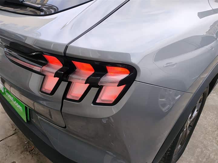 Ford Mustang Mach-E 2021 2021款 跃世后驱版(标准续航)