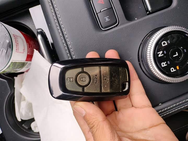 Ford Mustang Mach-E 2021 2021款 跃世后驱版(标准续航)