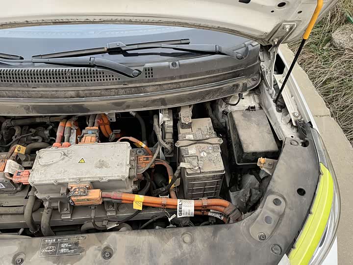 Geely Geometry EX3 2021 2021款 功夫牛牛