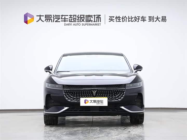 Voyah Passion 2024 2024款 PHEV 四驱超长续航旗舰版