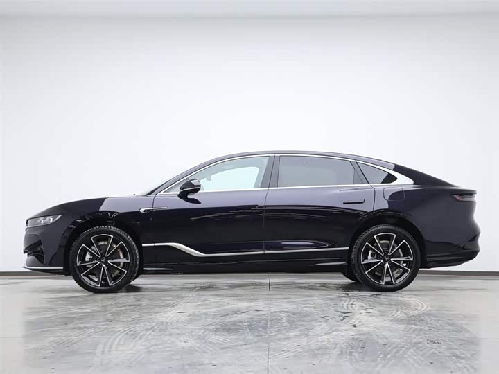 Voyah Passion 2024 2024款 PHEV 四驱超长续航旗舰版