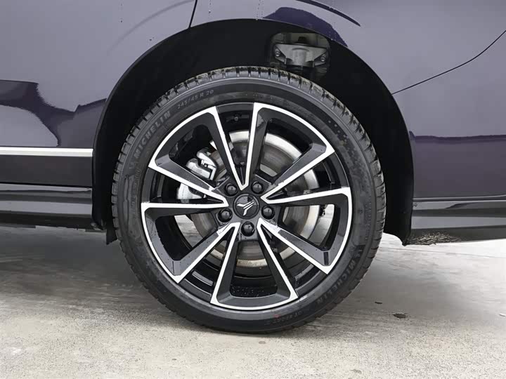 Voyah Passion 2024 2024款 PHEV 四驱超长续航旗舰版