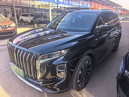 Hongqi HS7 2024 2024款 2.0T 自动四驱旗享版 六座