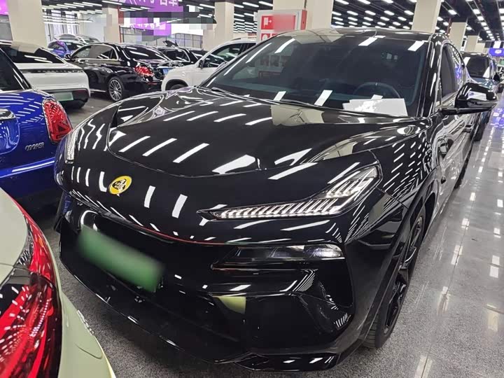 Lotus Eletre 2023 2023款 ELETRE S+