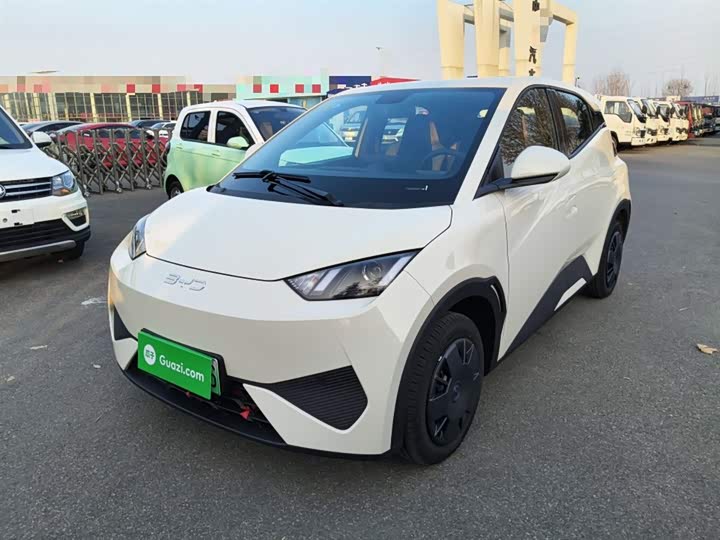 BYD Seagull 2025 2025款 智驾版 305km 活力版