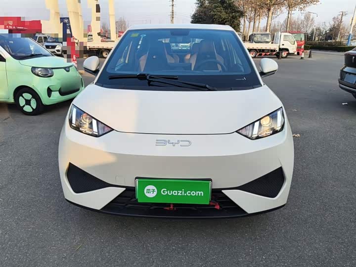 BYD Seagull 2025 2025款 智驾版 305km 活力版