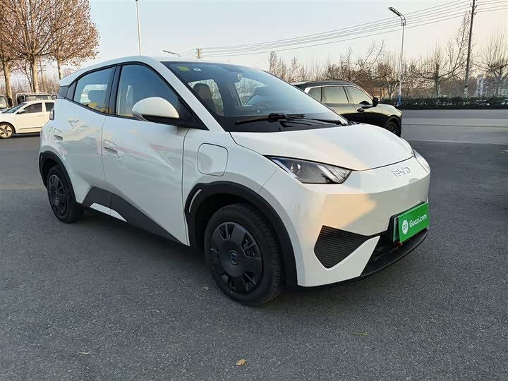 BYD Seagull 2025 2025款 智驾版 305km 活力版