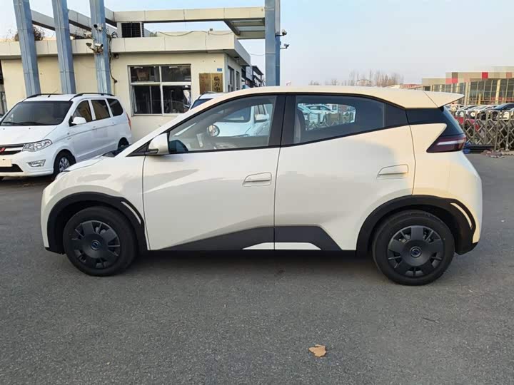 BYD Seagull 2025 2025款 智驾版 305km 活力版