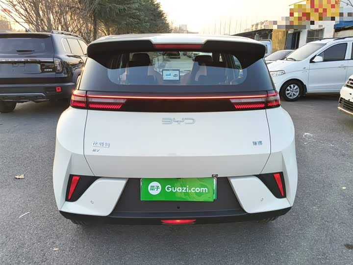 BYD Seagull 2025 2025款 智驾版 305km 活力版