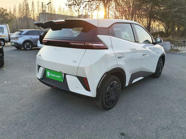 BYD Seagull 2025 2025款 智驾版 305km 活力版