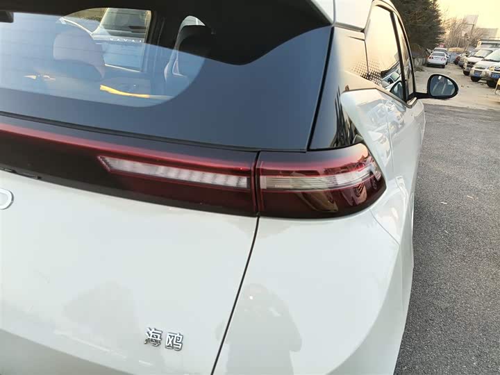 BYD Seagull 2025 2025款 智驾版 305km 活力版