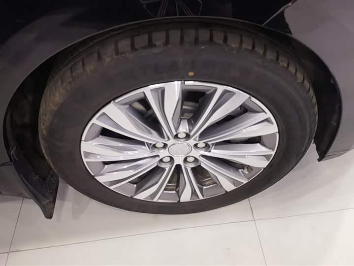 Hongqi E-QM5 2024 2024款 560km PLUS