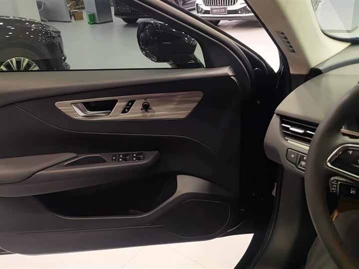 Hongqi E-QM5 2024 2024款 560km PLUS