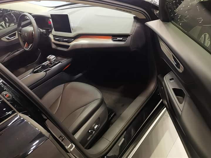 Hongqi E-QM5 2024 2024款 560km PLUS