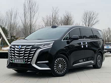 Denza D9 2025 2025款 DM-i 智驾版 1020 四驱旗舰型