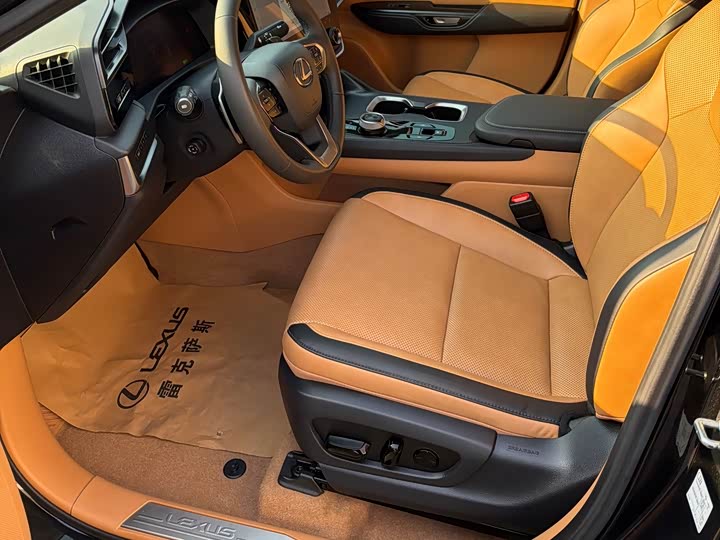 Lexus RZ 2023 2023款 450e 四驱纵享版