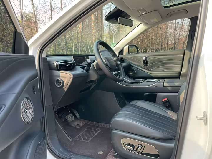 GAC Aion V 2024 2024款 埃安霸王龙 520 智尊版