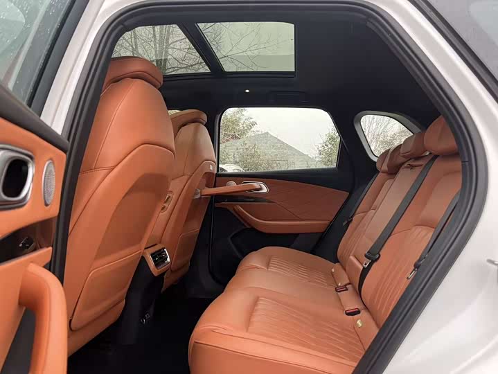 Hozon L 2024 2024款 增程 310 闪充红衣版