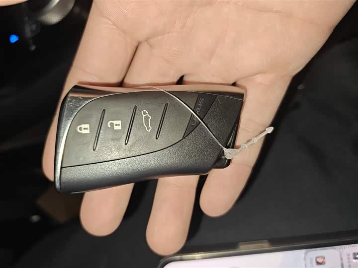 Lexus RZ 2023 2023款 450e 四驱纵享版