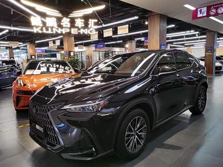 Lexus NX 2023 2023款 260 前驱 创悦版