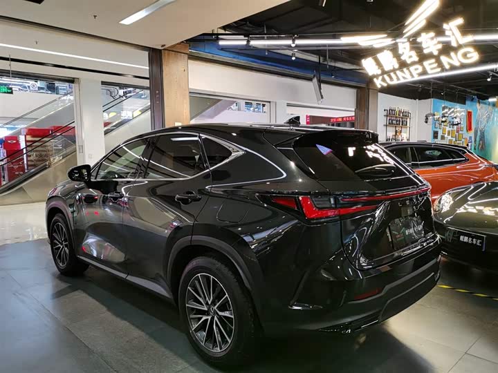 Lexus NX 2023 2023款 260 前驱 创悦版