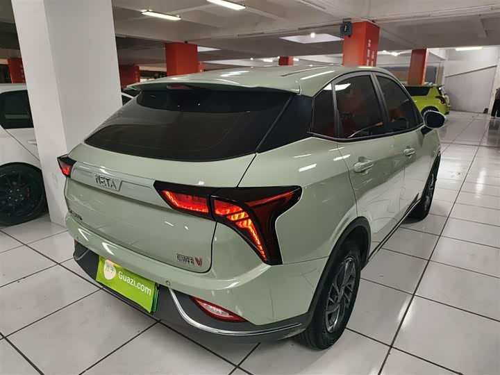 Hozon V 2022 2022款 潮 300 Lite 三元锂