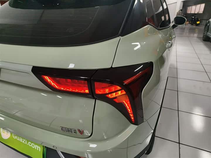 Hozon V 2022 2022款 潮 300 Lite 三元锂