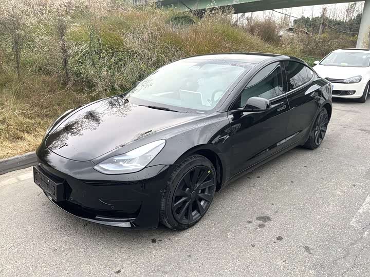 Tesla Model 3 2023 2023款 后轮驱动版