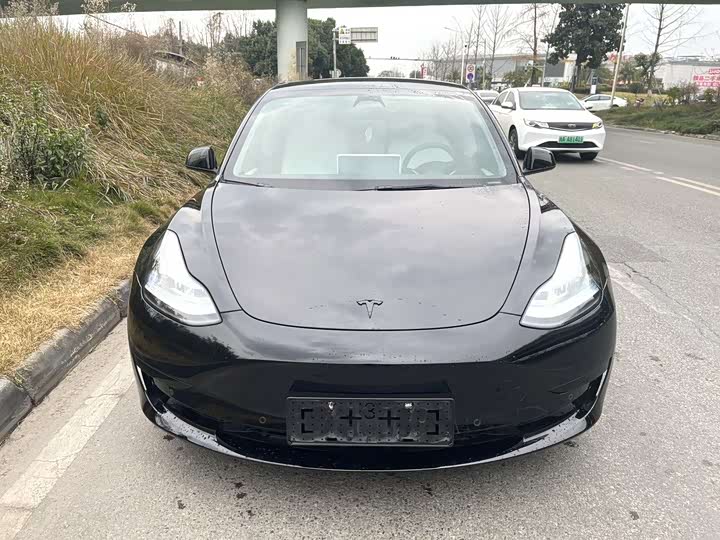 Tesla Model 3 2023 2023款 后轮驱动版