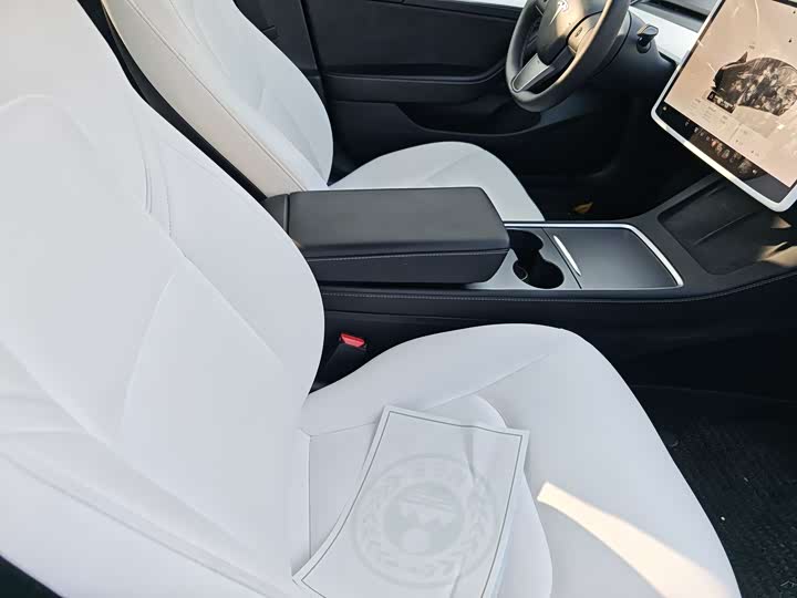 Tesla Model 3 2023 2023款 后轮驱动版