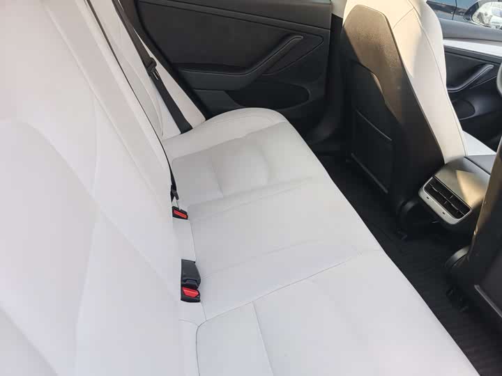 Tesla Model 3 2023 2023款 后轮驱动版