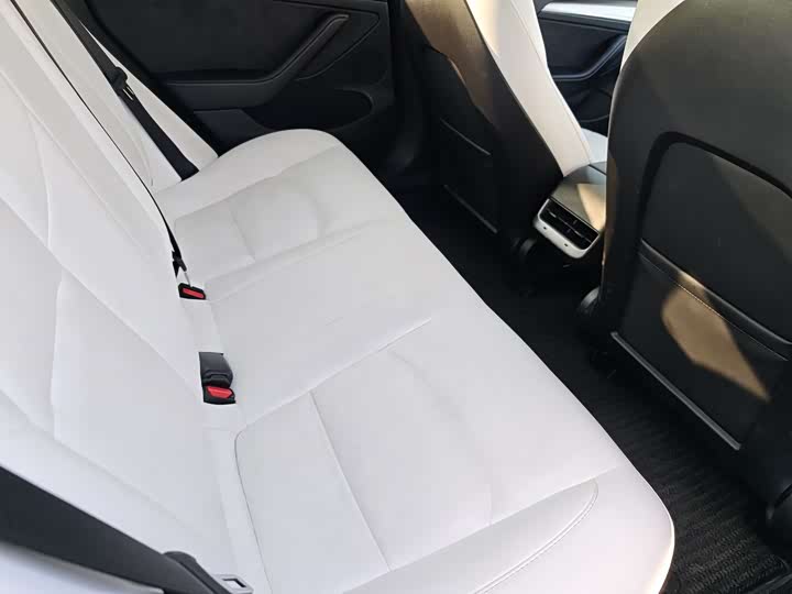 Tesla Model 3 2023 2023款 后轮驱动版