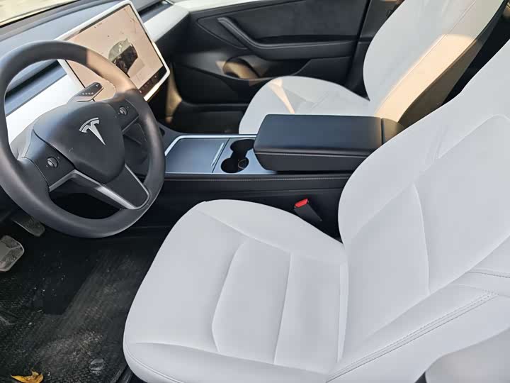 Tesla Model 3 2023 2023款 后轮驱动版