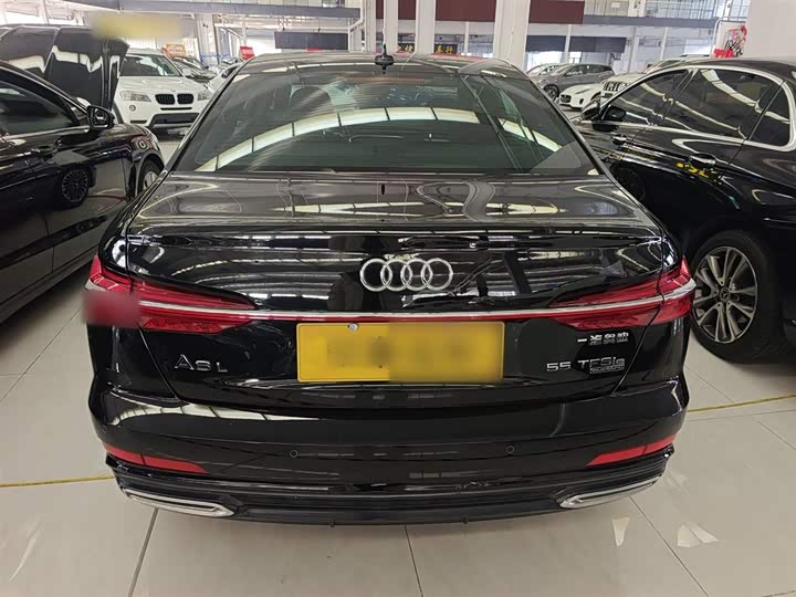 Audi A6L Hybrid 2020 2020款 55 TFSI e quattro